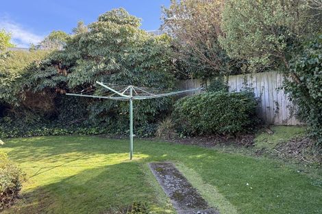 Photo of property in 1 Maori Road, Dunedin Central, Dunedin, 9016