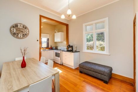 Photo of property in 17 Limbrick Street, Terrace End, Palmerston North, 4410