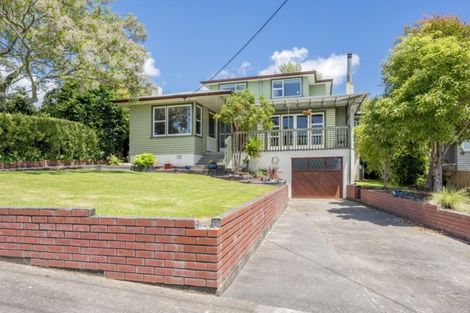 Photo of property in 31 Chester Street, Levin, 5510