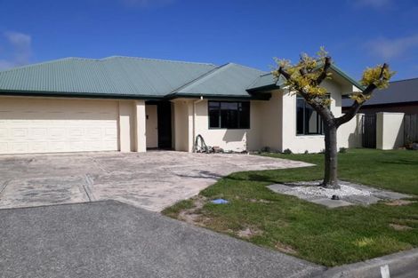 Photo of property in 17 Paramu Place, Richmond, 7020