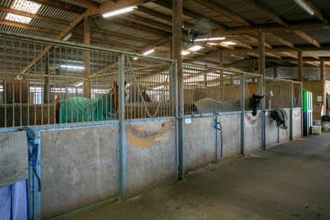 Photo of property in 49 Racecourse Road, Cambridge, 3493