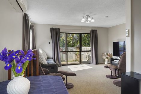 Photo of property in 432a Kahikatea Drive, Dinsdale, Hamilton, 3204