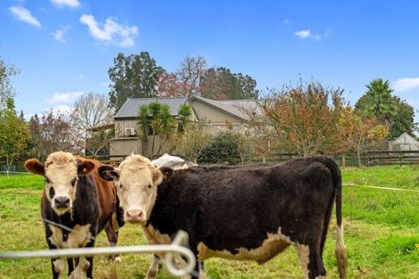 Photo of property in 413a Whitikahu Road, Taupiri, 3791