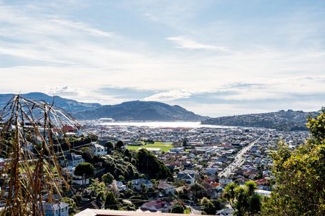 Photo of property in 54 Ravenswood Road, Saint Clair, Dunedin, 9012