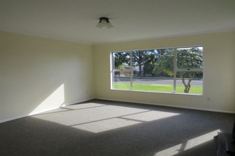 Photo of property in 13 Strathmore Avenue, Levin, 5510