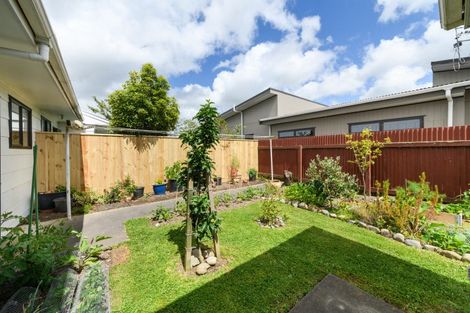 Photo of property in 46 Weld Street, Feilding, 4702