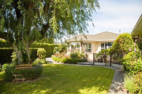 Photo of property in 98 Ventry Street, Alexandra, 9320