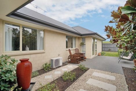 Photo of property in 41 Beachvale Drive, Kaiapoi, 7630