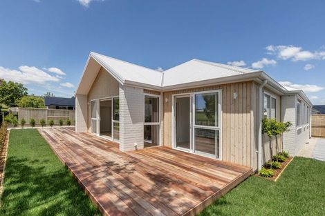 Photo of property in 13a Western Avenue, Omokoroa, 3114