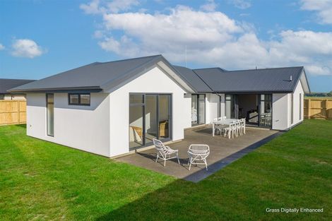 Photo of property in 99 Edward Street, Lincoln, 7608