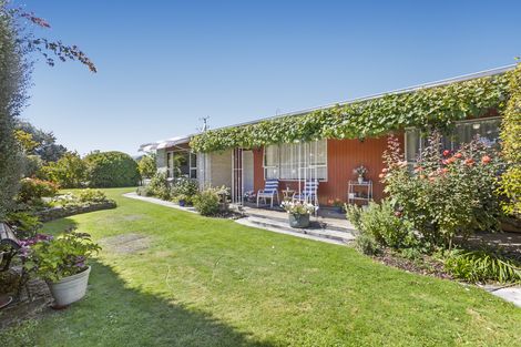 Photo of property in 37 Eureka Street, Alexandra, 9320