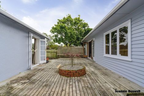 Photo of property in 406 Ruahine Street, Terrace End, Palmerston North, 4410