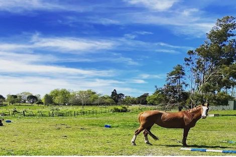 Photo of property in 1291 Old North Road, Helensville, 0875