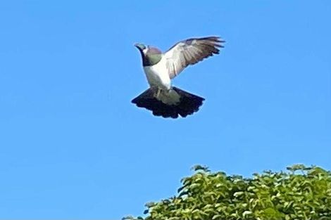 Photo of property in 33 Burtts Road, Durie Hill, Whanganui, 4500