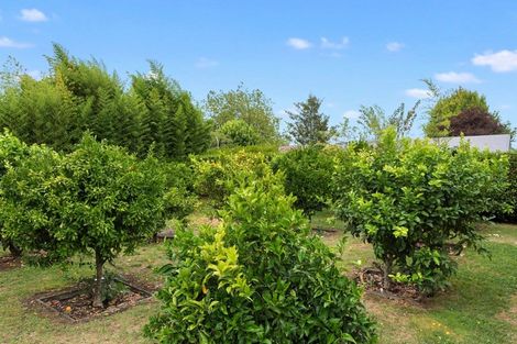 Photo of property in 7/46 Peachgrove Road, Hamilton East, Hamilton, 3216