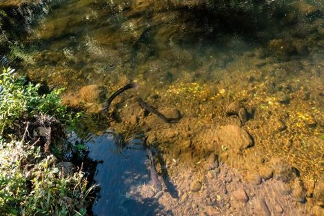 Photo of property in 1760 Mountain Road, Inglewood, 4386