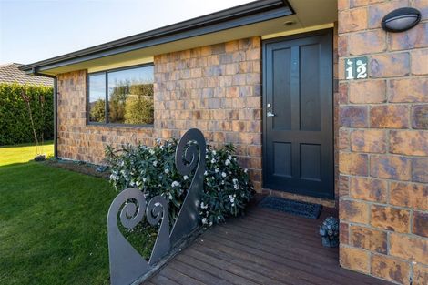 Photo of property in 12 River Terrace, Renwick, 7204