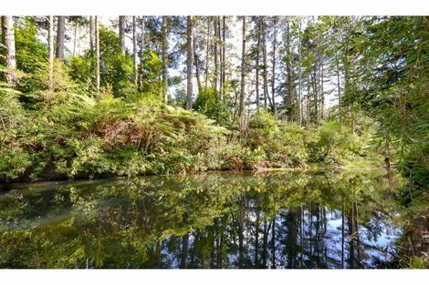 Photo of property in 75 Riverstream Drive, Waipapa, Kerikeri, 0295