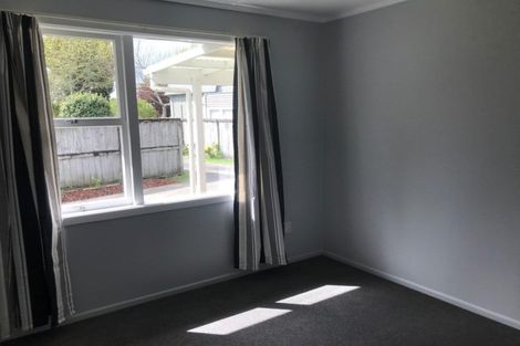 Photo of property in 16b Wilson Street, Hamilton East, Hamilton, 3216