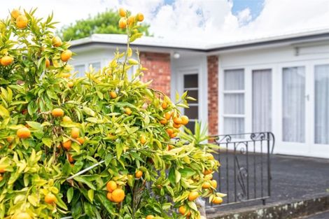 Photo of property in 9 Pomaria Road, Henderson, Auckland, 0610