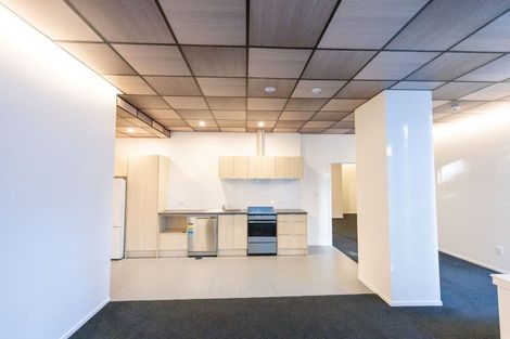 Photo of property in Te Kainga, 195 Willis Street, Te Aro, Wellington, 6011