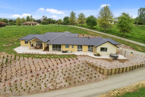 Photo of property in 920a Bond Road, Te Awamutu, 3879