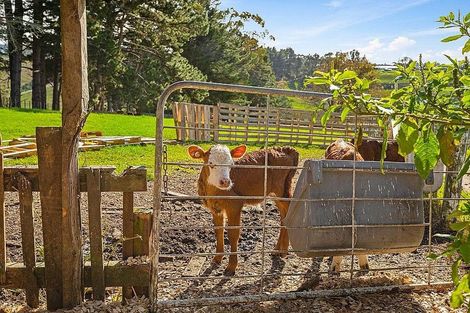 Photo of property in 65 Annett Road, Kumeu, 0891