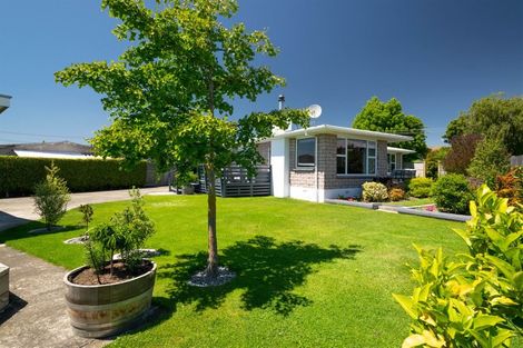 Photo of property in 4 Allen Street, Redwoodtown, Blenheim, 7201