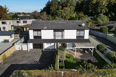 Photo of property in 58 Boundary Road, Claudelands, Hamilton, 3214