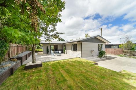 Photo of property in 62 Bridge Street, Bulls, 4818