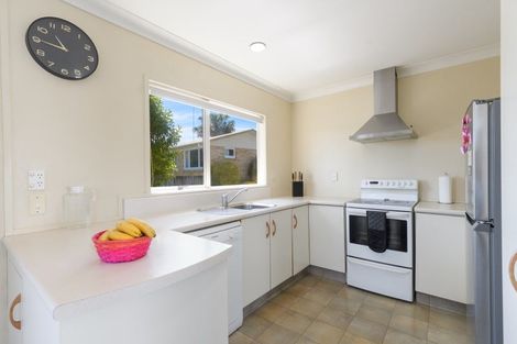 Photo of property in 16b Bristol Avenue, Brookfield, Tauranga, 3110