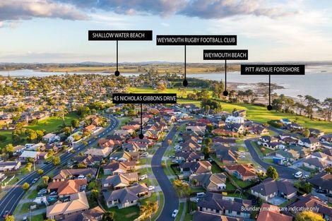 Photo of property in 45 Nicholas Gibbons Drive, Clendon Park, Auckland, 2103