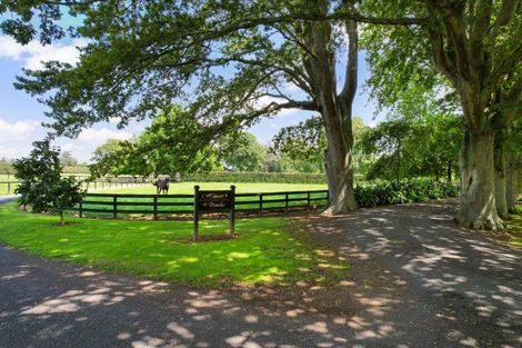 Photo of property in 427 Bruntwood Road, Tamahere, Cambridge, 3493