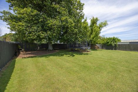 Photo of property in 8 Dixons Line, Bunnythorpe, Palmerston North, 4481