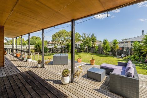 Photo of property in 24b Douglas Street, Levin, 5510