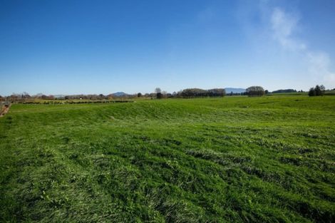 Photo of property in 1136 Roto O Rangi Road, Rotoorangi, Cambridge, 3495