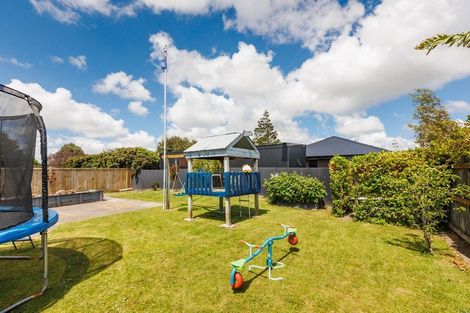 Photo of property in 17 Tyne Street, Roslyn, Dunedin, 9010