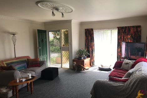 Photo of property in 56 Alison Street, Hamilton Lake, Hamilton, 3204