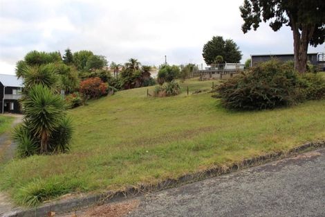 Photo of property in 1/13 Rimu Street, Mangakino, 3421