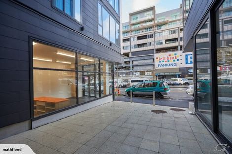 Photo of property in Vsp Nothern Tower, 1/166c Victoria Street, Te Aro, Wellington, 6011