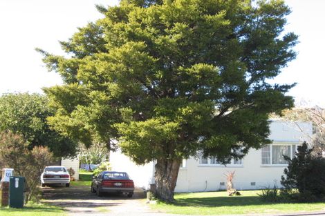 Photo of property in 11 Plassey Street, Havelock North, 4130