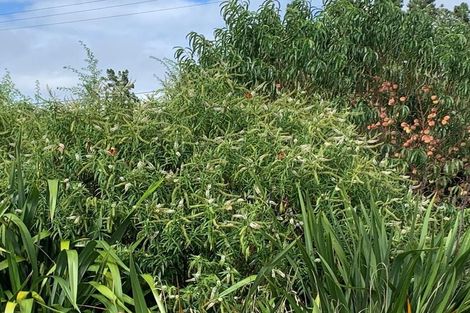 Photo of property in 66a Delhi Avenue, Aramoho, Whanganui, 4500