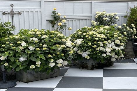 Photo of property in 174 Carmichael Road, Bethlehem, Tauranga, 3110