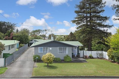 Photo of property in 19 Alexandra Street, Marton, 4710