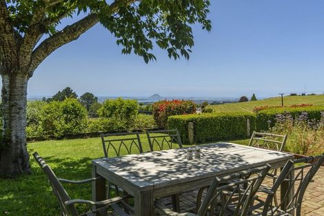 Photo of property in 576 Upper Ohauiti Road, Ohauiti, Tauranga, 3173