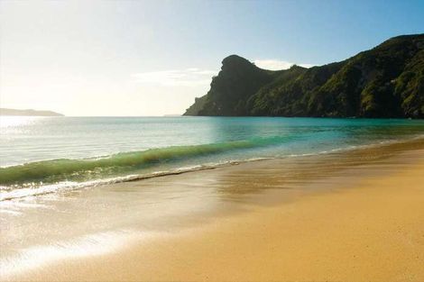 Photo of property in 23 Carrington Drive, Karikari Peninsula, 0483