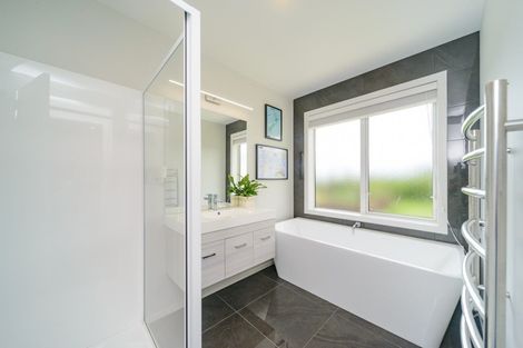 Photo of property in 60 Wapiti Avenue, Feilding, 4775