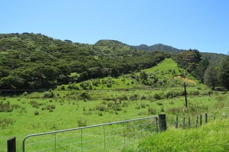 Photo of property in 880 Colville Road, Amodeo Bay, Coromandel, 3584