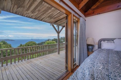 Photo of property in 127 Pumpkin Hill Road, Pumpkin Hill, Whitianga, 3591