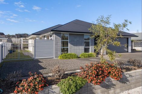 Photo of property in 3 Charlotte Drive, Omokoroa, 3114